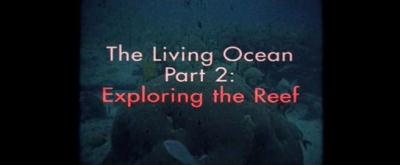 the living ocean